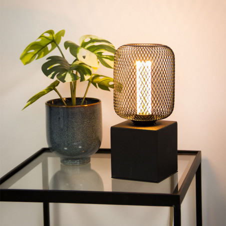 Ampoule Déco Cage Cylindre Noir, culot E27, Hologramme, Blanc chaud