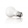 Lot de 2 ampoules Filament LED A60 Opaque, culot E27, 806 Lumens, equivalence 60 W, 4000 Kelvins, Blanc Neutre