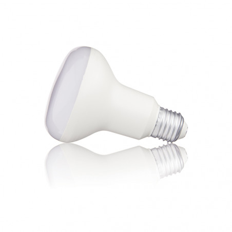 Ampoule LED R80, culot E27, 11,5W cons. (75W eq.), lumière blanc chaud