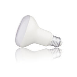 Ampoule LED R80, culot E27, 11,5W cons. (75W eq.), lumière blanc neutre