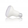 Ampoule LED R80, culot E27, 11,5W cons. (75W eq.), lumière blanc neutre