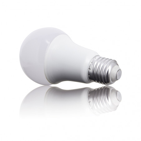 Lot de 2 ampoules LED A60 - cuLot E27 - classique