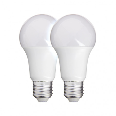 Lot de 2 ampoules LED A60 - cuLot E27 - classique
