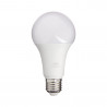 Ampoule LED A60, culot E27, 14,2W cons. (100W eq.), lumière blanc chaud