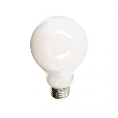 Ampoule LED A60 Opaque, culot E27, conso. 17W, 2452 Lumens, Blanc neutre