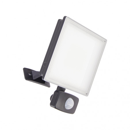 Projecteur mural noir LED IP44 avec détecteur de mouvement, 2600 Lumens, conso. 30 W, Blanc froid