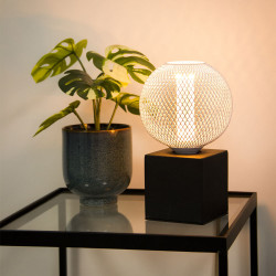 Ampoule Déco Cage Boule Blanc, culot E27, Hologramme, Blanc chaud
