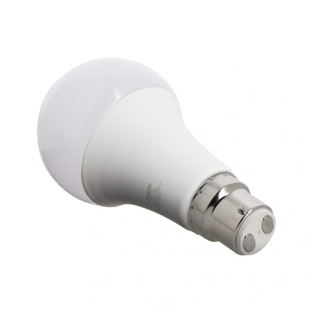 Ampoule LED A60, culot B22, 14,2W cons. (100W eq.), lumière blanc chaud