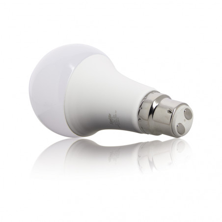 Ampoule LED A60, culot B22, 14,2W cons. (100W eq.), lumière blanc chaud