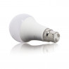 Ampoule LED A60, culot B22, 14,2W cons. (100W eq.), lumière blanc chaud