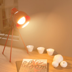 Ampoule LED G95, culot E27, 10W cons. (60W eq.), CCT température de lumière variable 2700k - 6000k