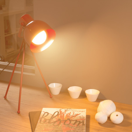 Ampoule LED G95, culot E27, 10W cons. (60W eq.), CCT température de lumière variable 2700k - 6000k
