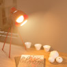Ampoule LED G95, culot E27, 10W cons. (60W eq.), CCT température de lumière variable 2700k - 6000k