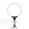 Ampoule Filament LED déco Ellipse Ronde, culot E27, conso. 3,5W, 470 lumens, Blanc chaud