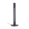 Lampe à poser LED RVB Digital, 40cm, Synchronisation musicale, éclairage blanc CCT, filaire USB