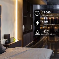Ampoule LED S19