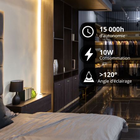 Ampoule LED S19