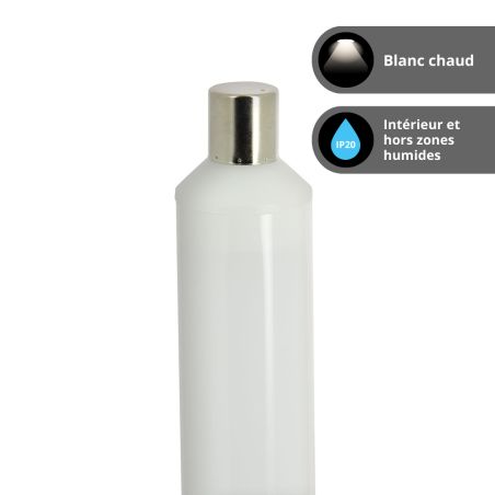 Ampoule LED S19