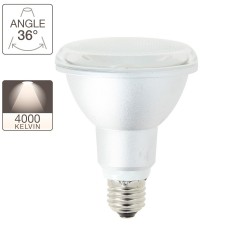 Ampoule LED PAR30 - culot E27 - classique