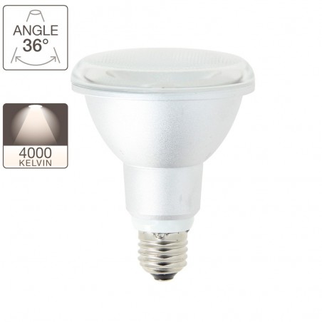 Ampoule LED PAR30 - culot E27 - classique