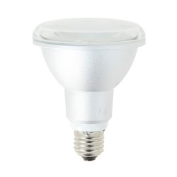 Ampoule LED PAR30 - culot E27 - classique
