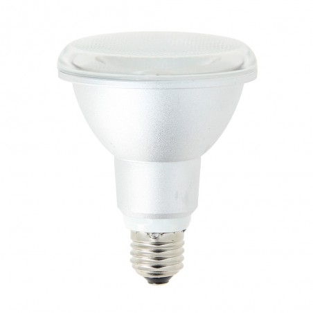 Ampoule LED PAR30 - culot E27 - classique