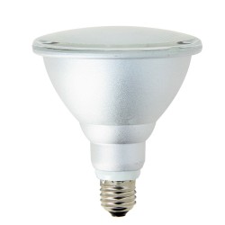 Ampoule LED PAR38 - culot E27 - classique