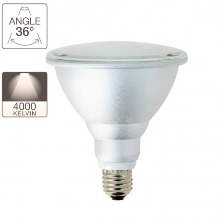 Ampoule LED PAR38 - culot E27 - classique