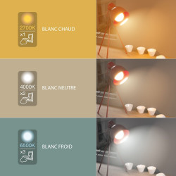 Ampoule LED G95, culot E27, 10W cons. (60W eq.), CCT température de lumière variable 2700k - 6000k