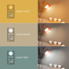 Ampoule LED G95, culot E27, 10W cons. (60W eq.), CCT température de lumière variable 2700k - 6000k