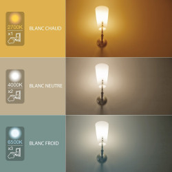 Ampoule LED flamme, culot E14, 6W cons. (40W eq.), CCT température de lumière variable 2700k - 6000k