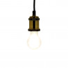 Lot x2 Ampoules à filament LED EDF, standard, culot E27, conso 8W eq. 75W, blanc neutre