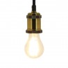 Lot x2 Ampoules à filament LED EDF, standard, culot E27, conso 8W eq. 75W, blanc chaud
