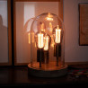 Ampoule LED déco Hologramme Edison au verre fumé, culot E27, 4W cons., 100 lumens, lumière blanc chaud