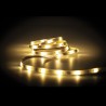 Ruban LED connecté KOZii, 2m, multi-blancs, Variation de température de lumière et d'intensité