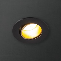 Spot GU10 50W 2700K Rond orientable Noir et or IP20