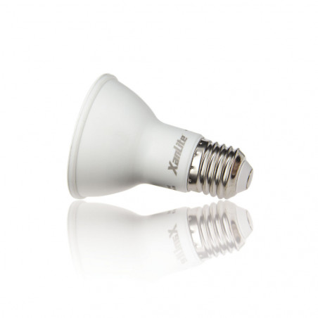 Ampoule LED PR20 - culot E27 - classique