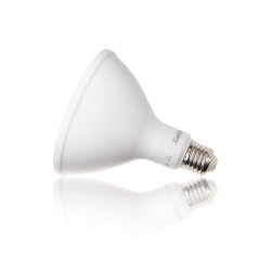 Ampoule LED PAR38 - culot E27 - classique