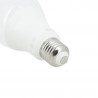 Ampoule LED A60, culot E27, 14,2W cons. (100W eq.), lumière blanc froid