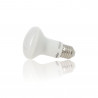 Ampoule LED R63, culot E27, 9W cons. (60W eq.), lumière blanc chaud