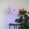 Ampoule LED disco, culot E27, 3W cons. lumière RGB motorisée