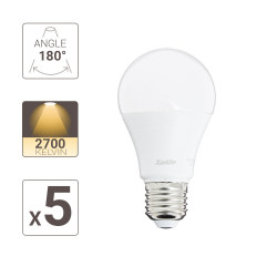 Lot x5 Ampoules LED standard, culot E27, cons. 9W, eq. 60W, blanc chaud